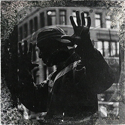 TOUCH LOOPS DETROIT TECHNO(オンライン納品)(2時間以内に納品) プラグインソフト TOUCH LOOPS DETROIT TECHNO(オンライン納品)(2時間以内に納品) プラグインソフト