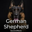 SOUND IDEAS GERMAN SHEPHERD SOUND EFFECTS(オンライン納品)(2時間以内に納品) プラグインソフト