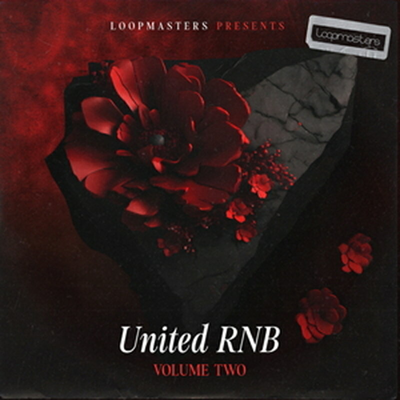 LOOPMASTERS UNITED RNB VOL 2(オンライン納品)(2時間以内に納品) プラグインソフト