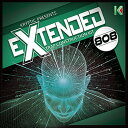 KRYPTIC SAMPLES EXTENDED 808(オンライン納品)(2時間以内に納品) プラグインソフト