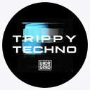UNDRGRND TRIPPY TECHNO(オンライン納品)(2時間以内に納品) プラグインソフト