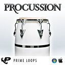 PRIME LOOPS PROCUSSION(オンライン納品)(2時間以内に納品) プラグインソフト