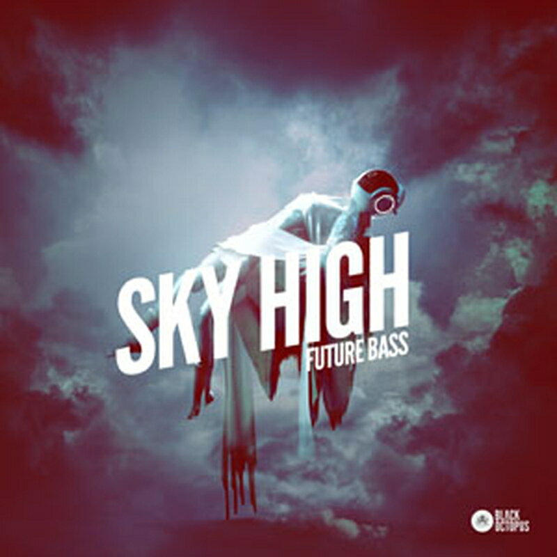 Other - BLACK OCTOPUS SKY HIGH FUTURE BASS(オンライン納品)(2時間以内に納品) プラグインソフト
