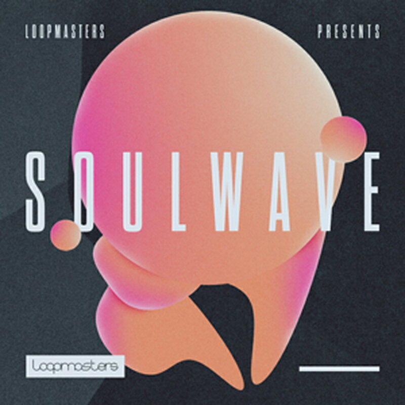 LOOPMASTERS SOULWAVE(オンライン納品)(2時間以内に納品) プラグインソフト