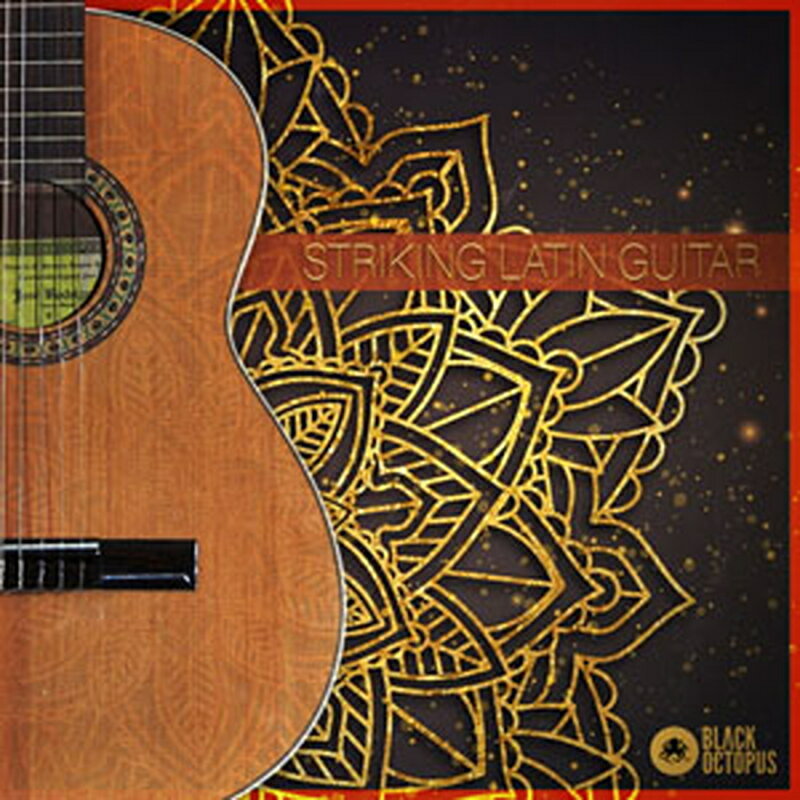 BLACK OCTOPUS STRIKING LATIN GUITAR(オンライン納品)(2時間以内に納品) プラグインソフト