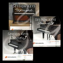 E-INSTRUMENTS SESSION KEYS ACOUSTIC BUNDLE(オンライン納品)(2時間以内に納品) ソフトウェア音源