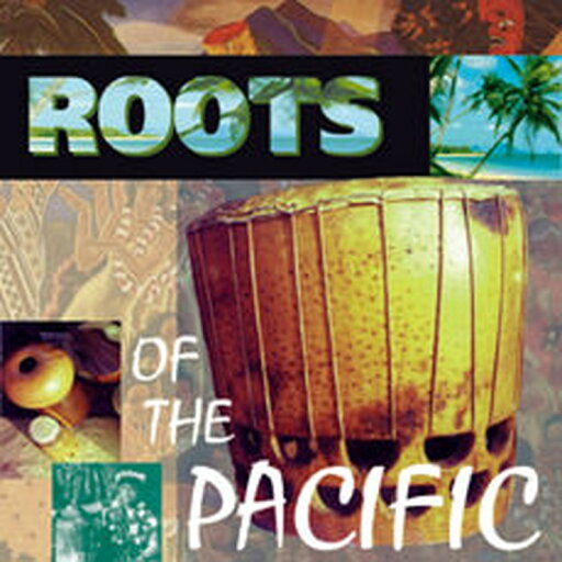 BIG FISH AUDIO ROOTS OF THE PACIFIC(オンライン納品)(2時間以内に納品) プラグインソフト BIG FISH AUDIO ROOTS OF THE PACIFIC(オンライン納品)(2時間以内に納品) プラグインソフト