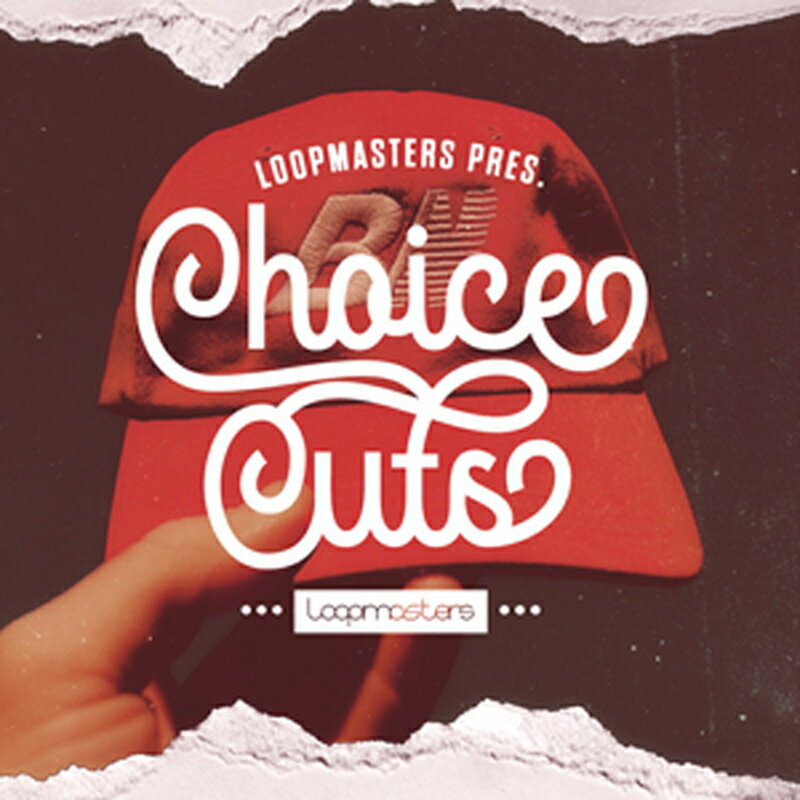 LOOPMASTERS CHOICE CUTS(オンライン納品)(2時間以内に納品) プラグインソフト