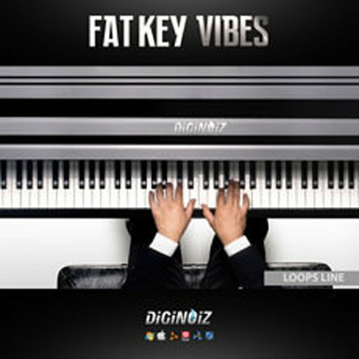 DIGINOIZ FAT KEY VIBES 1(オンライン納品)(2時間以内に納品) プラグインソフト DIGINOIZ FAT KEY VIBES 1(オンライン納品)(2時間以内に納品) プラグインソフト