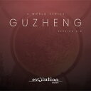 EVOLUTION SERIES WORLD STRINGS GUZHENG 2.0(オンライン納品)(2時間以内に納品) ソフトウェア音源