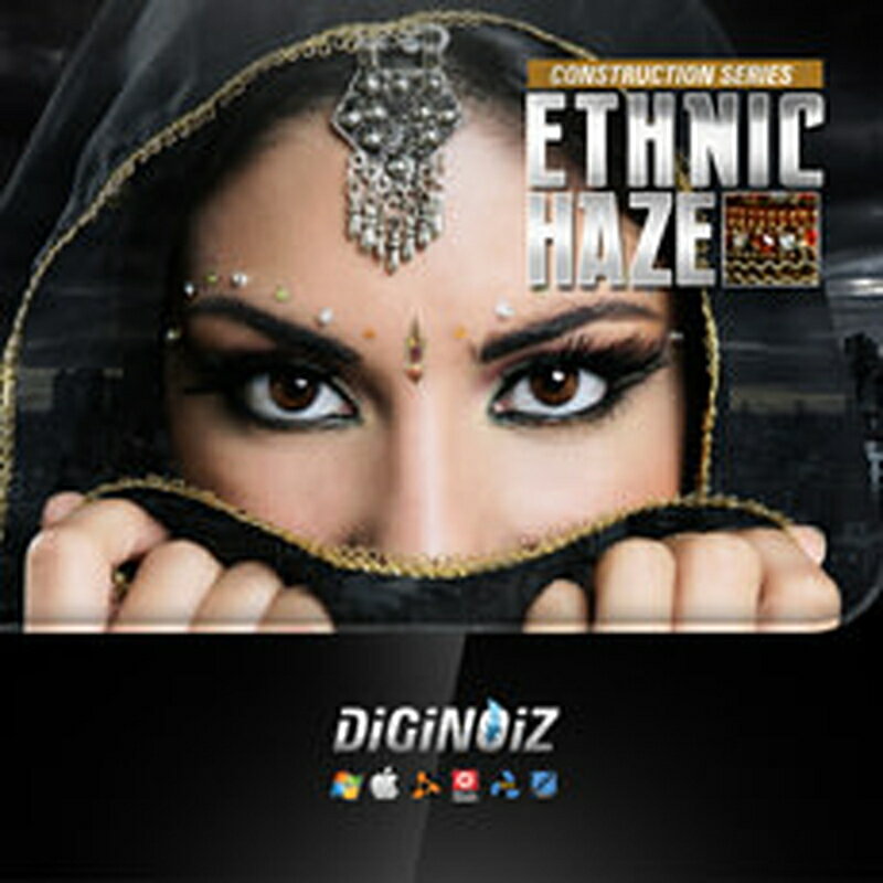 DIGINOIZ ڥǥΥ֥åե饤ǡ롪ETHNIC HAZE(饤Ǽ)(2ְǼ) ץ饰󥽥ե