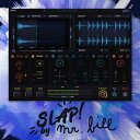 YUM AUDIO SLAP(オンライン納品)(2時間以内に納品) プラグインソフト