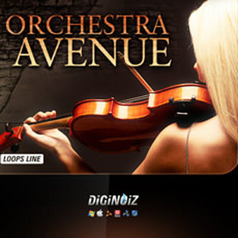 DIGINOIZ 【デジノイズブラックフライデーセール!】ORCHESTRA AVENUE(オンライン納品)(2時間以内に納品) プラグインソフト