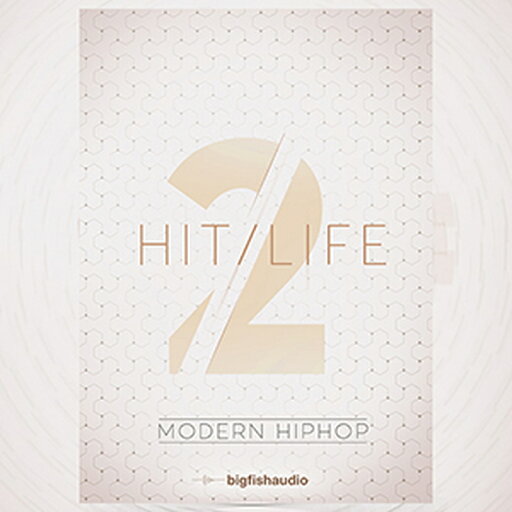 BIG FISH AUDIO HIT LIFE 2(オンライン納品)(2時間以内に納品) プラグインソフト BIG FISH AUDIO HIT LIFE 2(オンライン納品)(2時間以内に納品) プラグインソフト