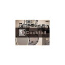 BFD BFD3 Expansion KIT: Cocktail (ビーエフディー)(ドラム音源)(オンライン納品)(2時間以内に納品) ソフトウェア音源