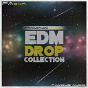 FAMOUS AUDIO EDM DROP COLLECTION(オンライン納品)(2時間以内に納品) プラグインソフト
