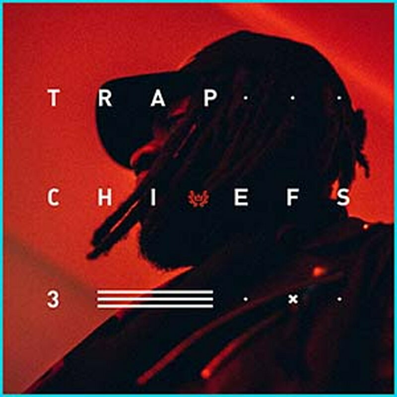 DIGINOIZ TRAP CHIEFS 3(オンライン納品)(2時間以内に納品) プラグインソフト