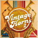 BIG FISH AUDIO VINTAGE HORNS 2(オンライン納品)(2時間以内に納品) ソフトウェア音源