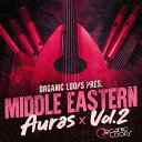 ORGANIC LOOPS MIDDLE EASTERN AURAS 2(オンライン納品)(2時間以内に納品) プラグインソフト