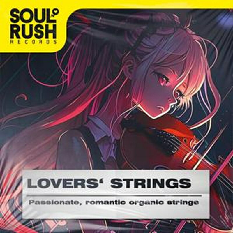 SOUL RUSH RECORDS LOVERS’ STRINGS(オンライン納品)(2時間以内に納品) プラグインソフト