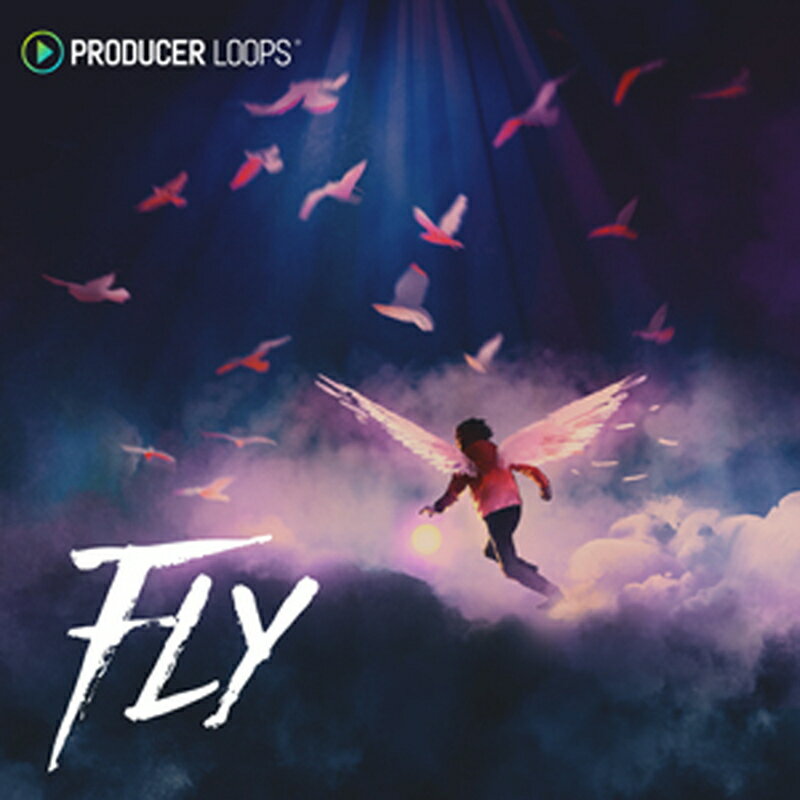 PRODUCER LOOPS FLY(オンライン納品)(2時間以内に納品) プラグインソフト