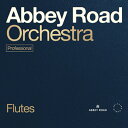 SPITFIRE AUDIO ABBEY ROAD ORCHESTRA: FLUTES PROFESSIONAL(オンライン納品)(2時間以内に納品) ソフトウェア音源