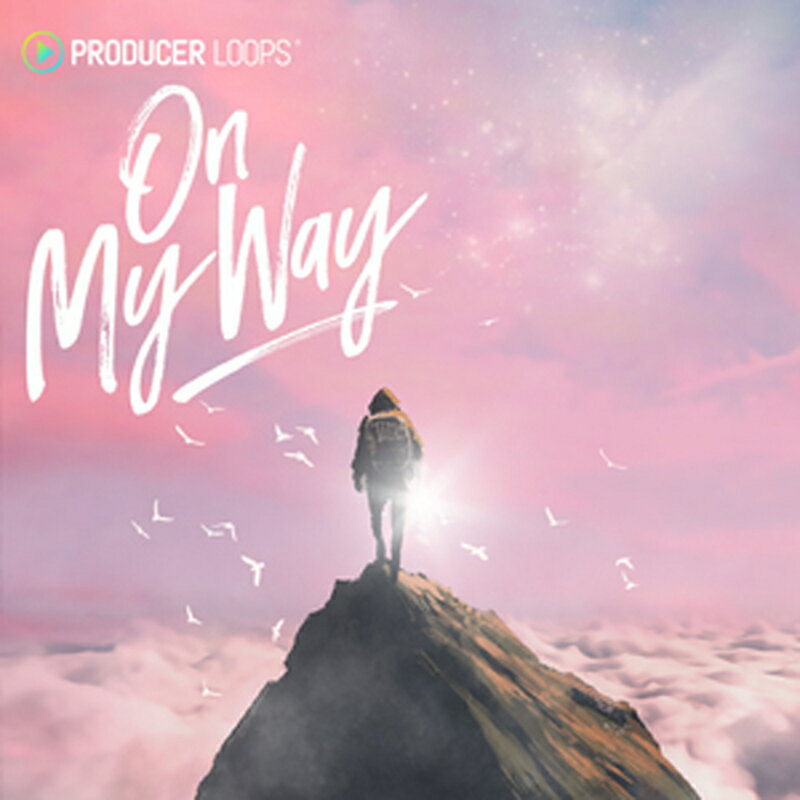 PRODUCER LOOPS ON MY WAY(オンライン納品)(2時間以内に納品) プラグインソフト