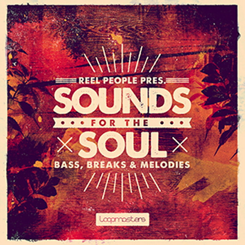 LOOPMASTERS REEL PEOPLE PRESENTS SOUNDS FOR THE SOUL(オンライン納品)(2時間以内に納品) プラグイン..