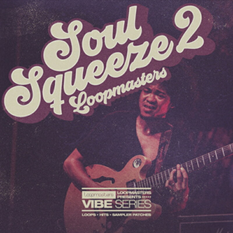 LOOPMASTERS SOUL SQUEEZE VOL 2(オンライン納品)(2時間以内に納品) プラグインソフト
