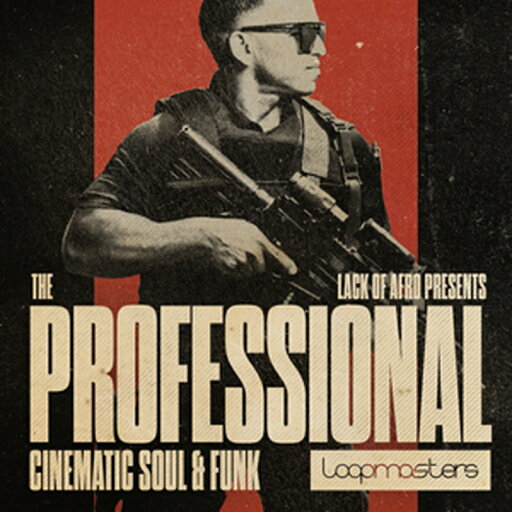 LOOPMASTERS THE PROFESSIONAL - CINEMATIC SOUL & FUNK(オンライン納品)(2時間以内に納品) プラグインソフト LOOPMASTERS THE PROFESSIONAL - CINEMATIC SOUL & FUNK(オンライン納品)(2時間以内に納品) プラグインソフト