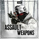 BOOM Library ASSAULT WEAPONS - DESIGNED(オンライン納品)(2時間以内に納品) プラグインソフト