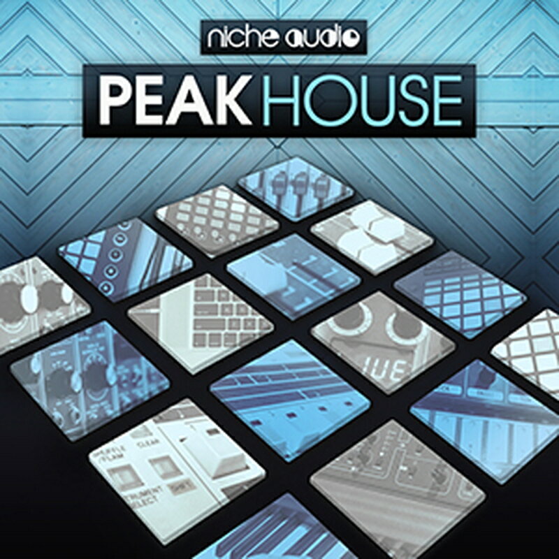 NICHE AUDIO PEAK HOUSE ABLETON(����饤��Ǽ��)(2���ְ����Ǽ��) �ץ饰���󥽥ե�