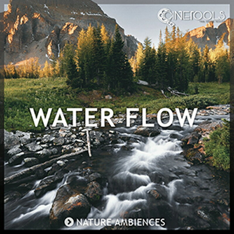 CINETOOLS WATER FLOW(オンライン納品)(2時間以内に納品) プラグインソフト