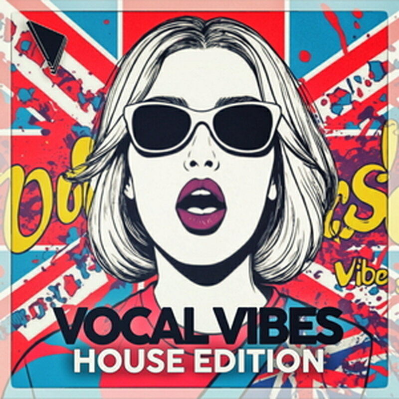 DABRO MUSIC VOCAL VIBES - HOUSE EDITION(オンライン納品)(2時間以内に納品) プラグインソフト