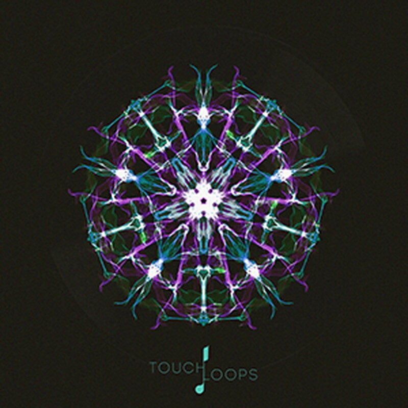 TOUCH LOOPS AMBIENT DUB(オンライン納品)(2時間以内に納品) プラグインソフト