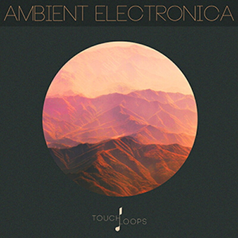 TOUCH LOOPS AMBIENTELECTRONICA(オンライン納品)(2時間以内に納品) プラグインソフト