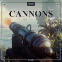 BOOM Library CANNONS - DESIGNED(オンライン納品)(2時間以内に納品) プラグインソフト