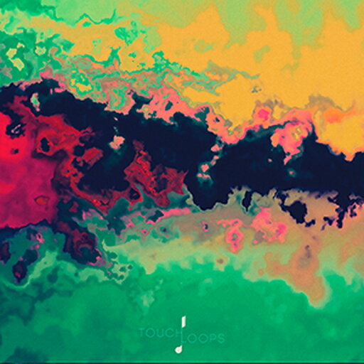 TOUCH LOOPS AMBIENT TEXTURES(オンライン納品)(2時間以内に納品) プラグインソフト TOUCH LOOPS AMBIENT TEXTURES(オンライン納品)(2時間以内に納品) プラグインソフト