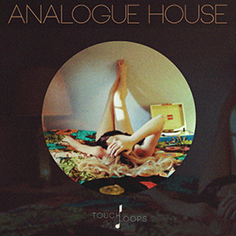 TOUCH LOOPS ANALOGUE HOUSE(����饤��Ǽ��)(2���ְ����Ǽ��) �ץ饰���󥽥ե�