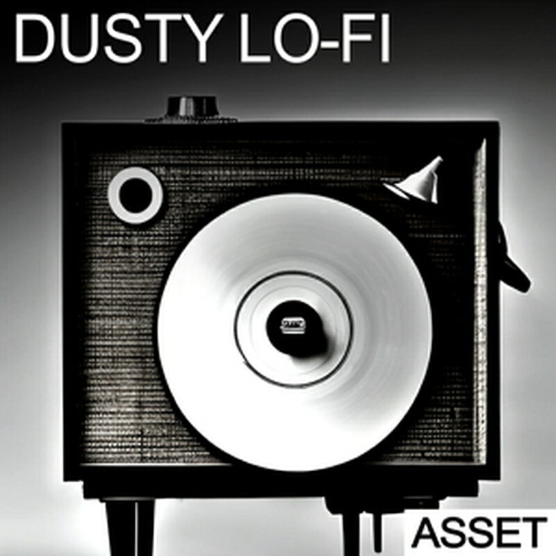 INDUSTRIAL STRENGTH DUSTY LO-FI - ASSET(オンライン納品)(2時間以内に納品) プラグインソフト