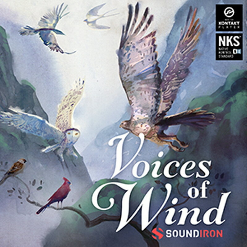 SOUNDIRON VOICE OF WIND: COLLECTION(オンライン納品)(2時間以内に納品) ソフトウェア音源