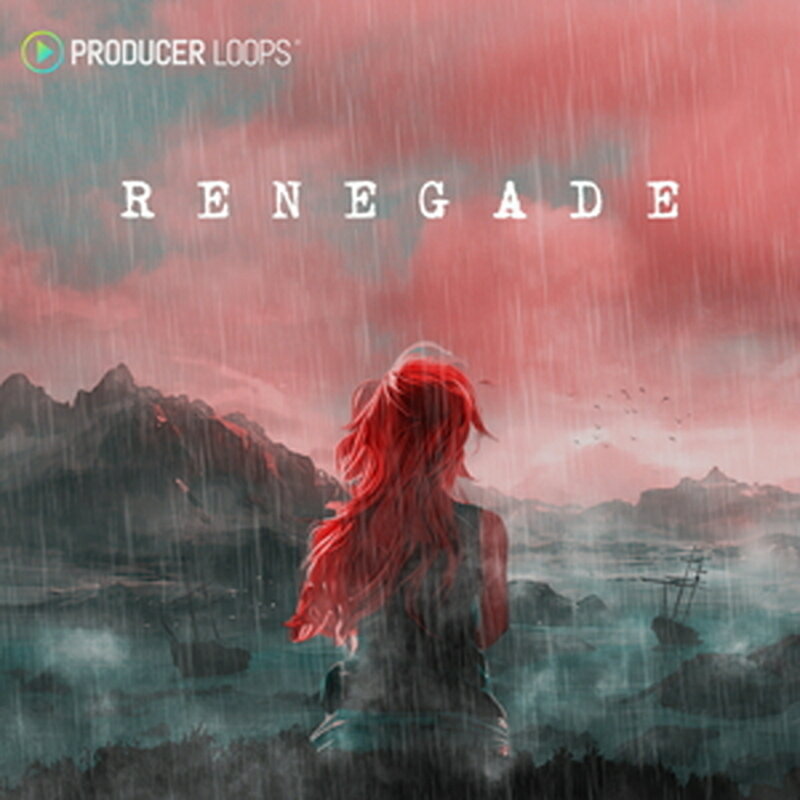 PRODUCER LOOPS RENEGADE(オンライン納品)(2時間以内に納品) プラグインソフト
