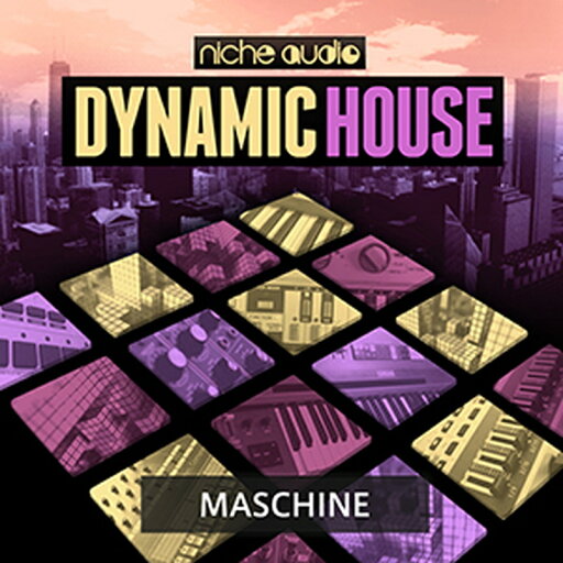 NICHE AUDIO DYNAMIC HOUSE - MASCHINE(オンライン納品)(2時間以内に納品) プラグインソフト NICHE AUDIO DYNAMIC HOUSE - MASCHINE(オンライン納品)(2時間以内に納品) プラグインソフト