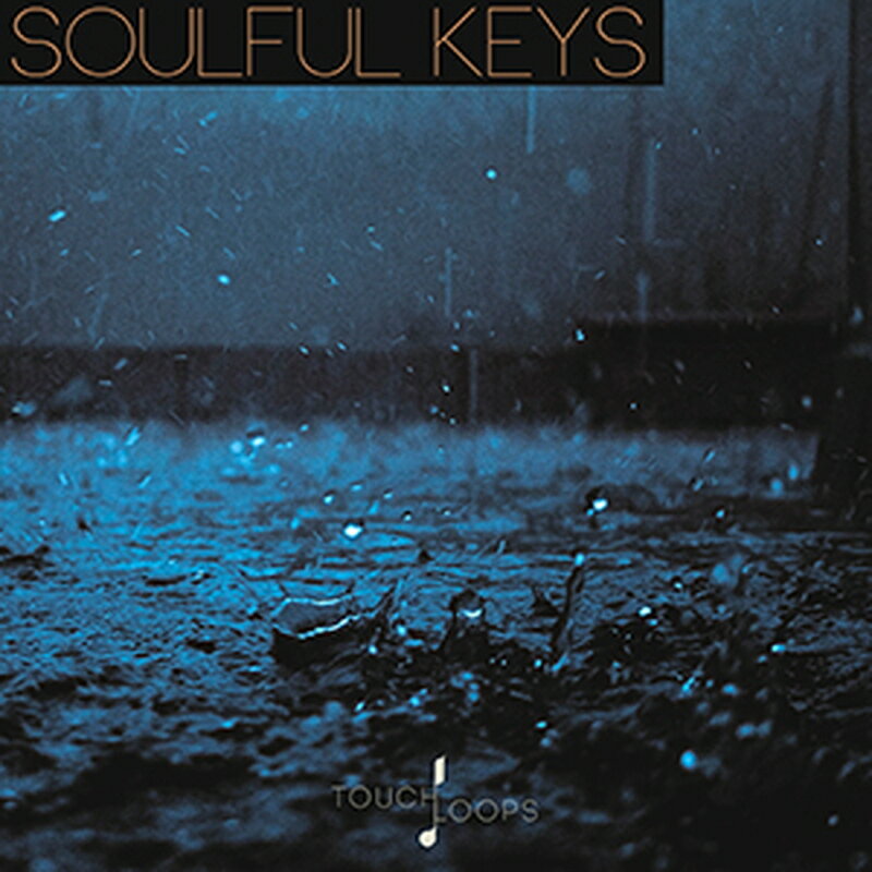 Rakuten - TOUCH LOOPS SOULFUL KEYS(オンライン納品)(2時間以内に納品) プラグインソフト