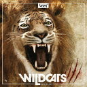 BOOM Library WILDCATS(オンライン納品)(2時間以内に納品) プラグインソフト