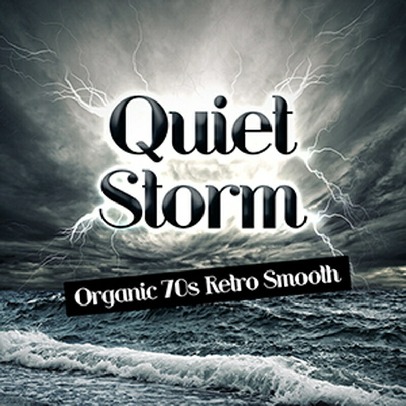 BIG FISH AUDIO QUIET STORM(饤Ǽ)(2ְǼ) ץ饰󥽥ե