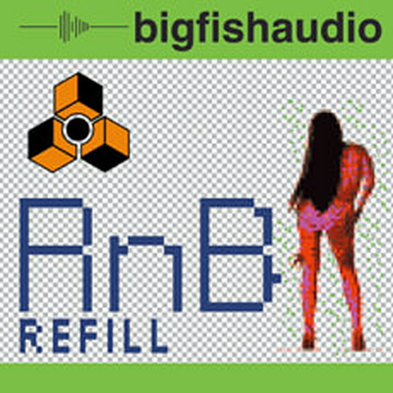 BIG FISH AUDIO RNB REFILL(オンライン納品)(2時間以内に納品) プラグインソフト