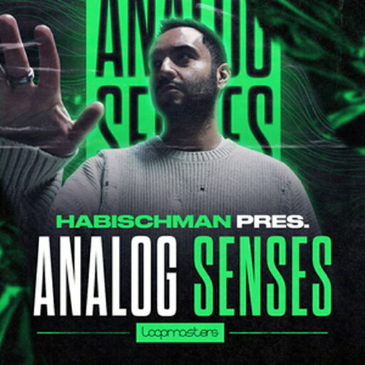 LOOPMASTERS HABISCHMAN - ANALOG SENSES(オンライン納品)(2時間以内に納品) プラグインソフト LOOPMASTERS HABISCHMAN - ANALOG SENSES(オンライン納品)(2時間以内に納品) プラグインソフト