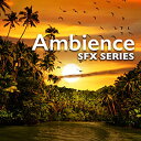 SOUND IDEAS 【サウンドイデアMID YEAR SALE!】AMBIENCE SFX SERIES(オンライン納品)(2時間以内に納品) プラグインソ...