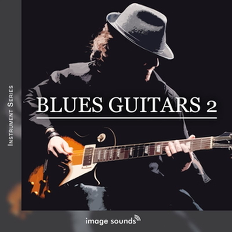IMAGE SOUNDS BLUES GUITARS 2(オンライン納品)(2時間以内に納品) プラグインソフト